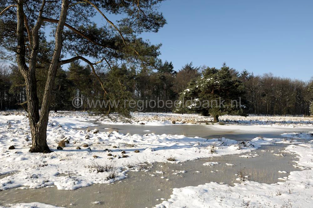 zwartewater_013.jpg