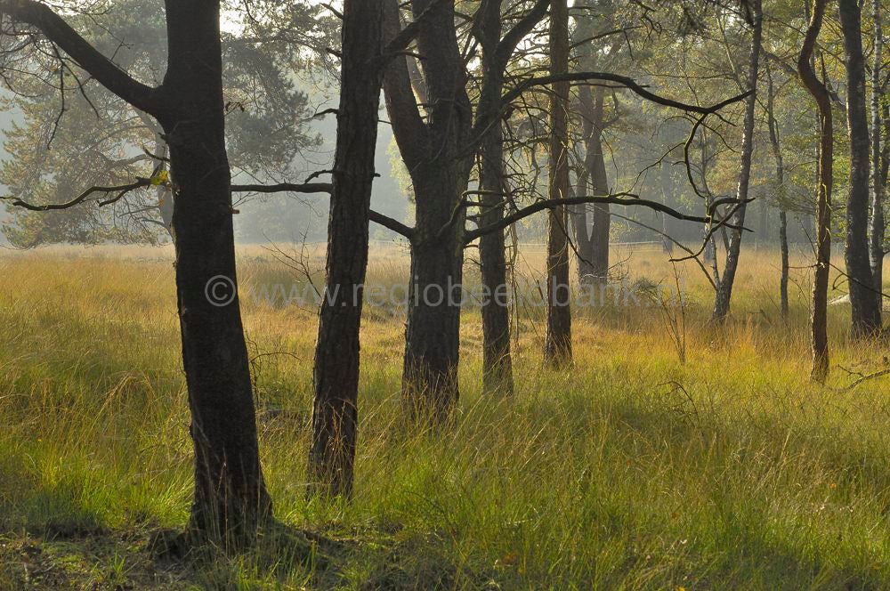 zwartewater_015.jpg