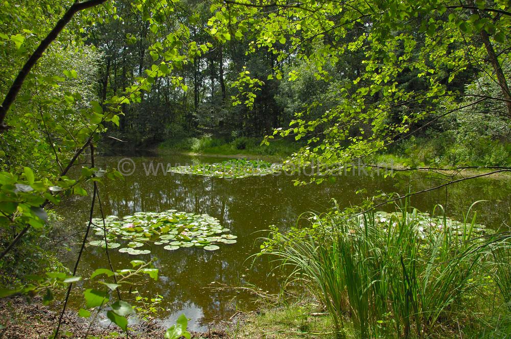 zwartewater_028.jpg