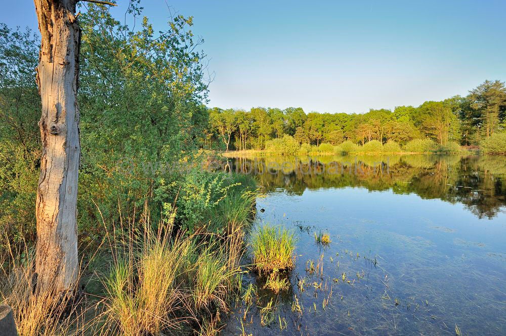 zwartewater_032.jpg