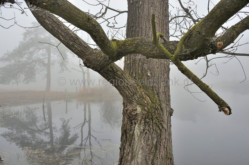zwartewater_045.jpg