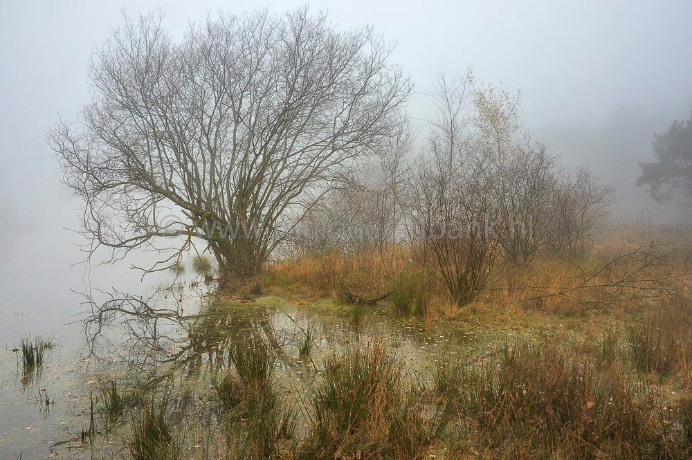 zwartewater_055.jpg
