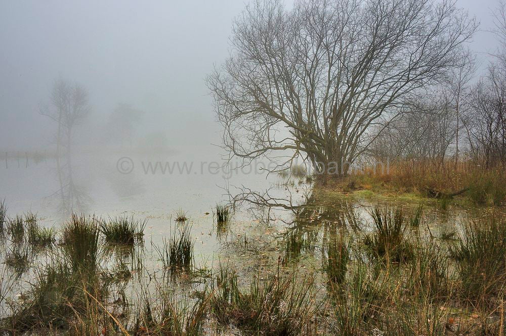 zwartewater_057.jpg